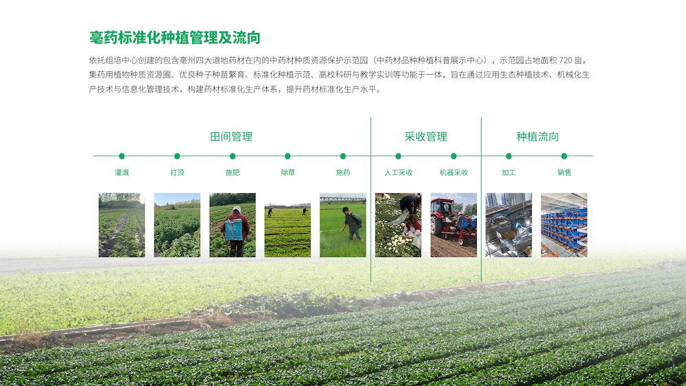 zhongzhi2.2a0df0b1.png